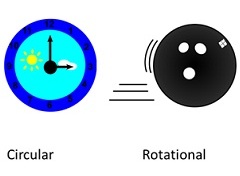 Circular and rotatory motion